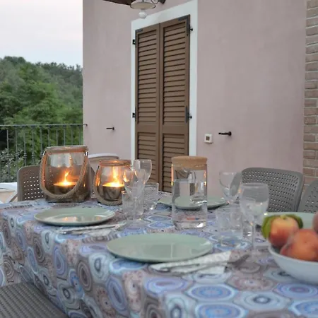 Cyparus B&B