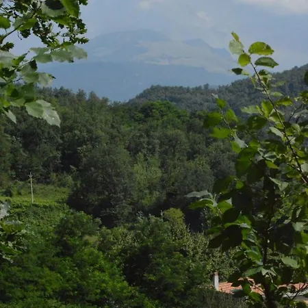 Cyparus 3* Venarotta