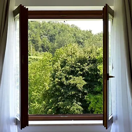Cyparus Bed & Breakfast 3*
